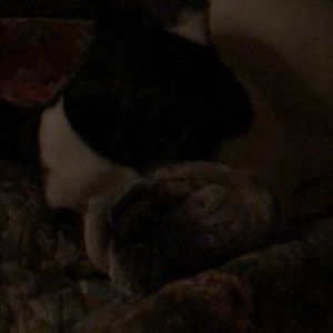 Meet your Posher, Elaine